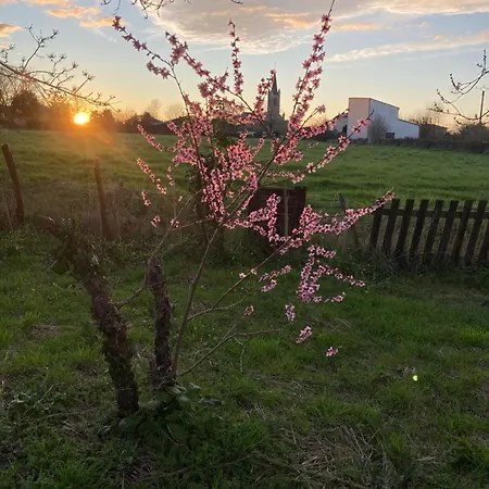 Marais Inn, Maison Typique Avec Piscine Et Jardin Arbore, 10 Kms Niort Sansais