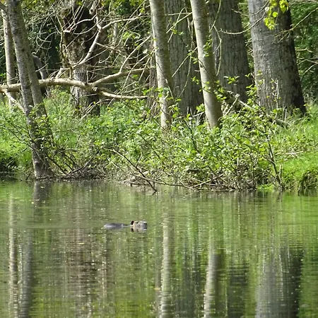 Marais Inn, Maison Typique Avec Piscine Et Jardin Arbore, 10 Kms Niort 别墅 *