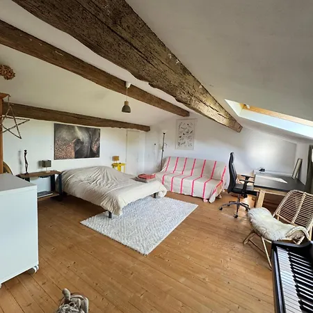 Marais Inn, Maison Typique Avec Piscine Et Jardin Arboré, 10 Kms Niort