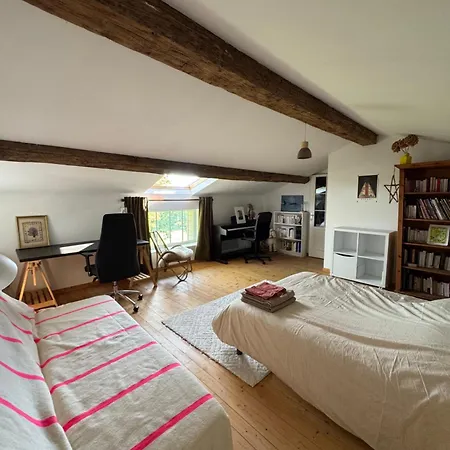 Marais Inn, Maison Typique Avec Piscine Et Jardin Arbore, 10 Kms Niort *